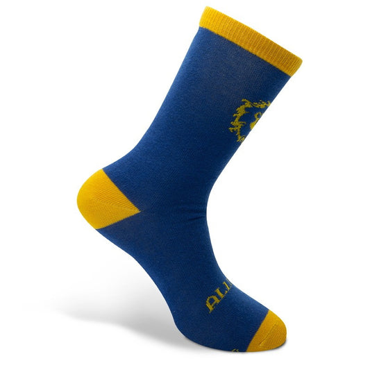 WoW Socken Allianz